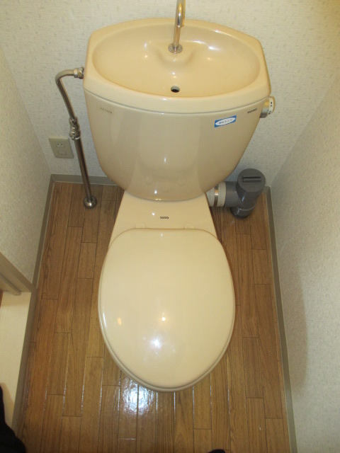 Toilet