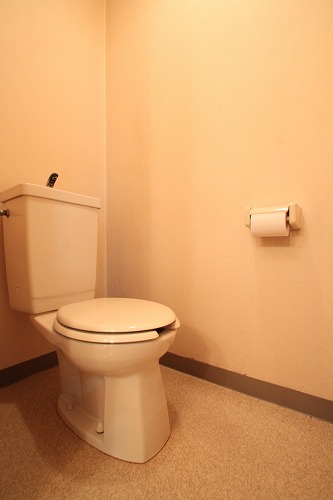 Toilet. Our HP⇒http /  / www.t-apapla.com / 