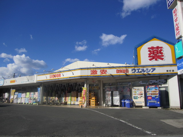 Dorakkusutoa. Uerushia Sakado Yanagimachi shop 778m until (drugstore)