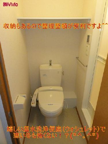 Toilet. It is with warm water washing toilet seat. 