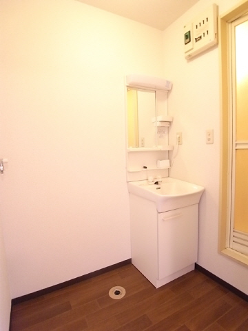 Washroom. Bathroom vanity Indoor Laundry Storage