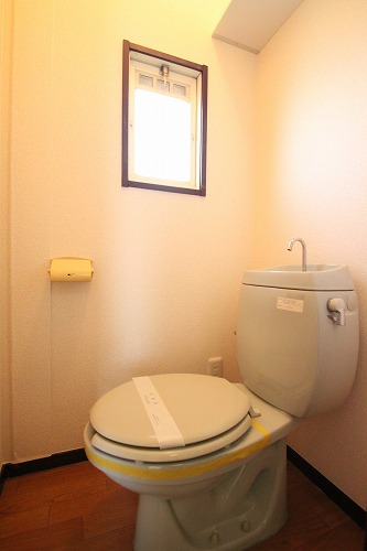Toilet. Bright toilet with a small window