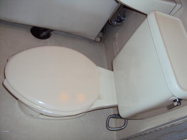Toilet. Toilet