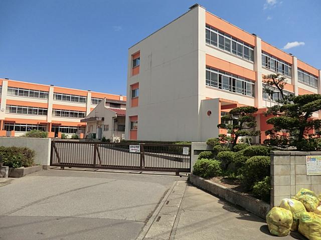 Other. Satte elementary school