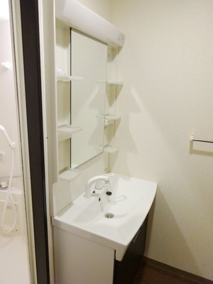 Washroom. Shampoo dresser