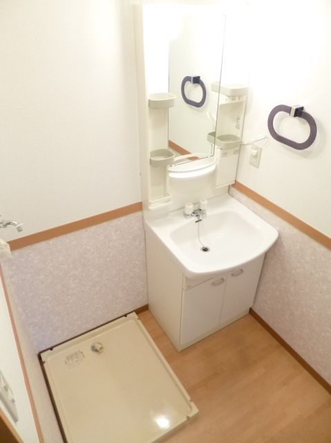 Washroom. Independent washroom with large shampoo dresser