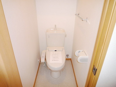 Toilet. Warm water washing toilet seat