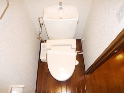 Toilet. Toilet