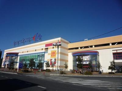 Shopping centre. Carrefour until the (shopping center) 3200m