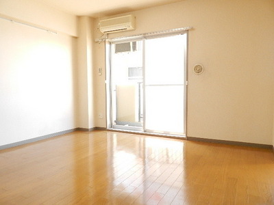 Living and room. Spacious LDK