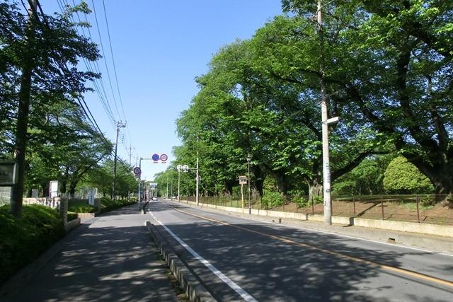 park. May of 850m to Inariyamakoen