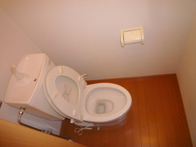 Toilet. Toilet