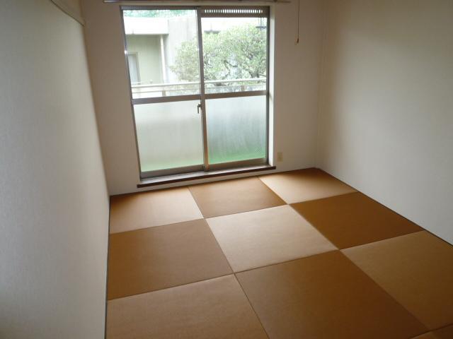 Other room space. Japanese style room