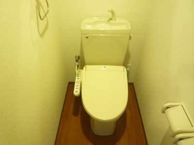 Toilet. Toilet