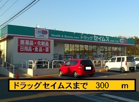 Dorakkusutoa. Seimusu 300m until (drugstore)