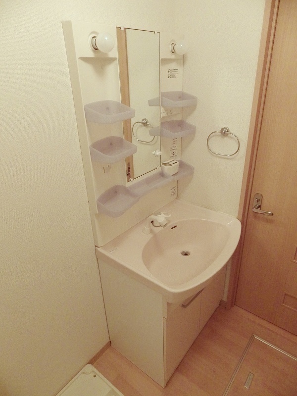 Washroom. Wash basin is with a hand shower