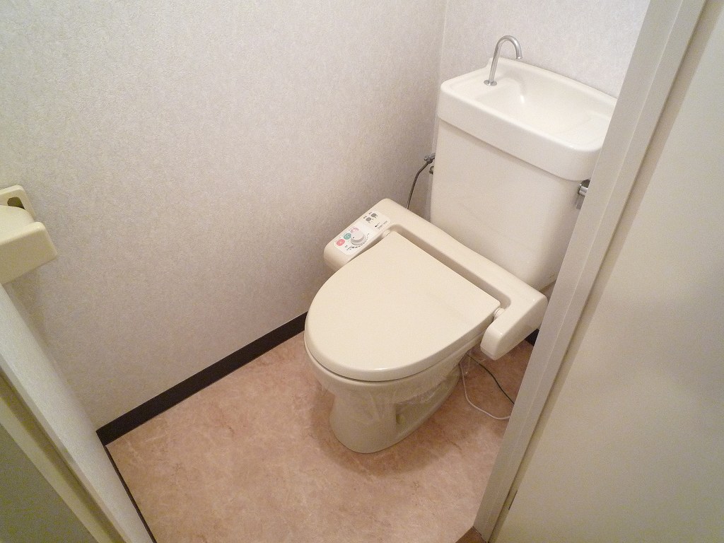 Toilet. Another, Room photo