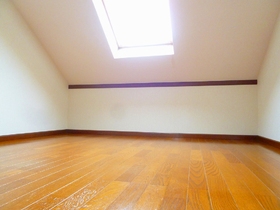 Living and room. There is also a skylight in the loft