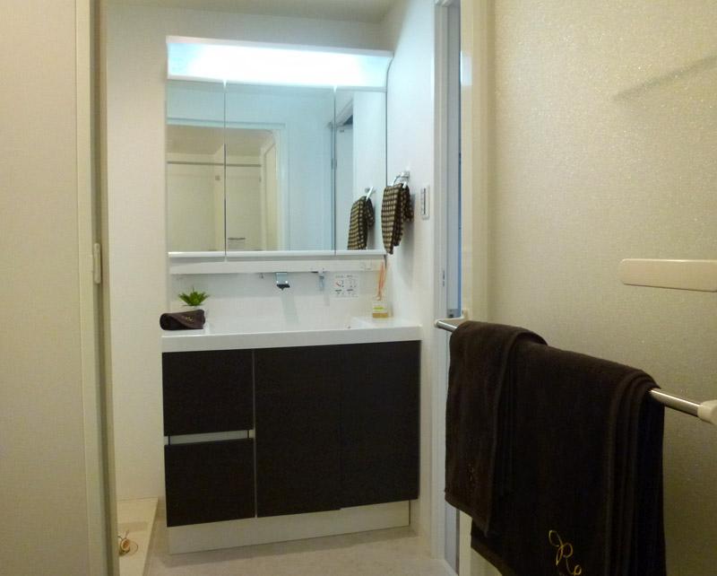 Wash basin, toilet. Bathroom vanity