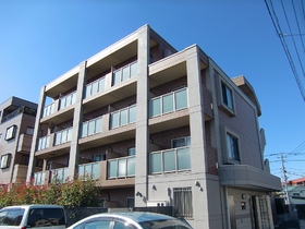 Building appearance. It is stout apartment of reinforced concrete.