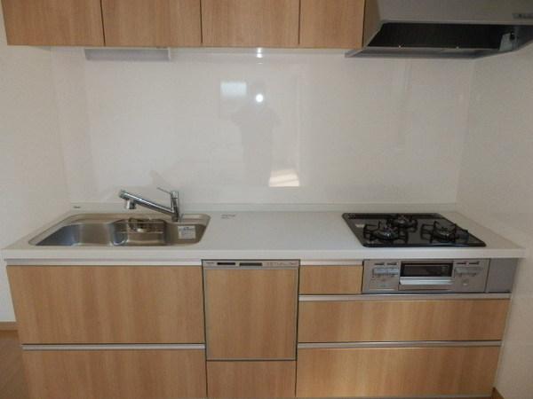 Kitchen. Local (July 2013) Shooting