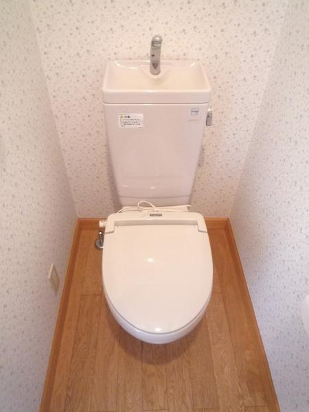 Toilet. Toilet 2 places. Second floor toilet with hand wash basin
