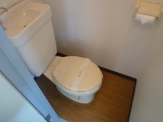 Toilet. It is a photograph of another room