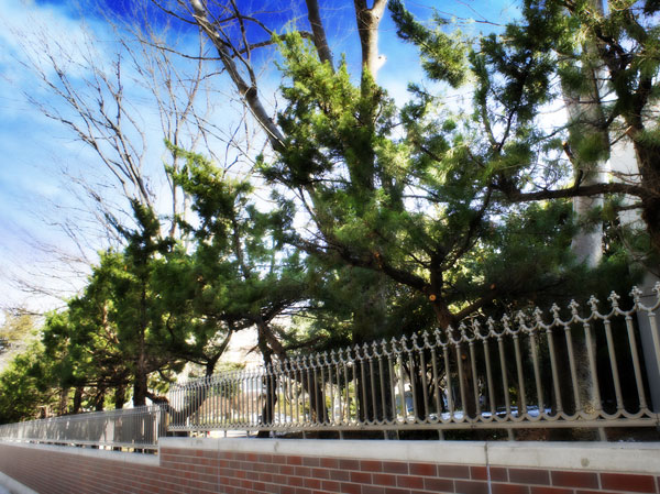 Surrounding environment. Keio Shiki Senior High School (about 290m ・ 4-minute walk)