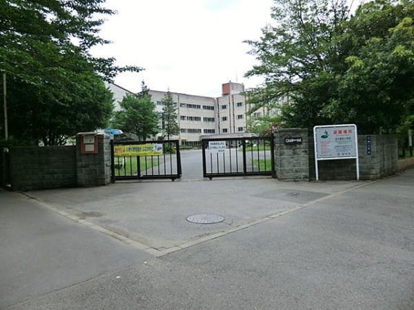 Primary school. Fourth 350m up to elementary school (5 minutes walk)