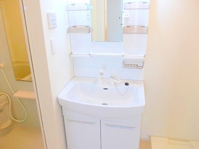 Washroom. Bathroom Vanity