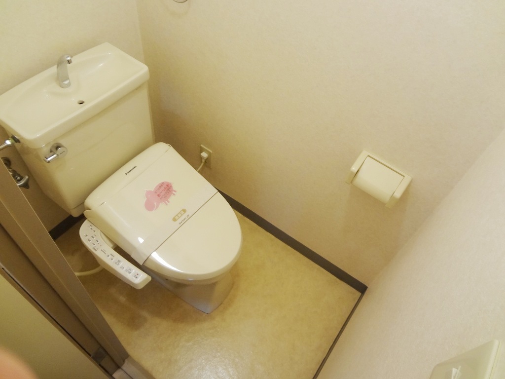 Toilet. Reference photograph