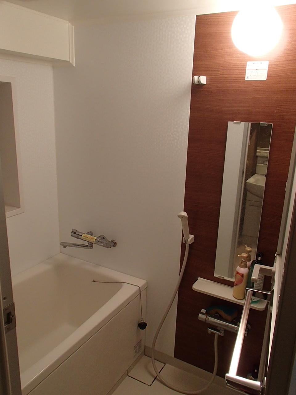 Bathroom. Unit is a bus replaced..