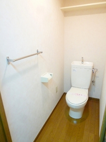 Toilet. Boast a little wide toilet space