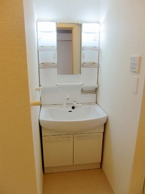 Washroom. Convenient shampoo wash basin (same construction type)