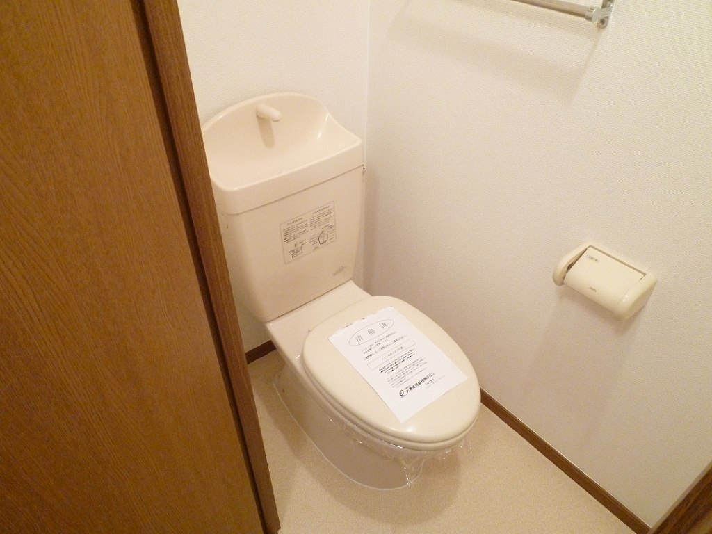 Toilet. Reference photograph