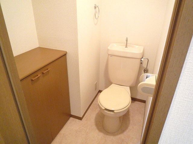 Toilet. Another, Room photo