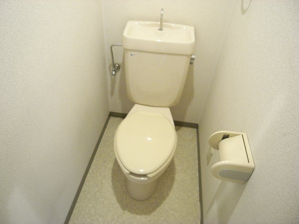 Other. Toilet