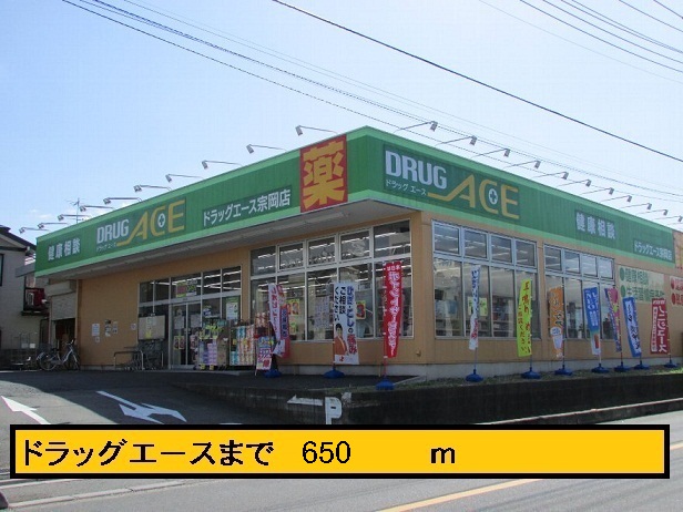 Dorakkusutoa. Drag ace 650m to (drugstore)