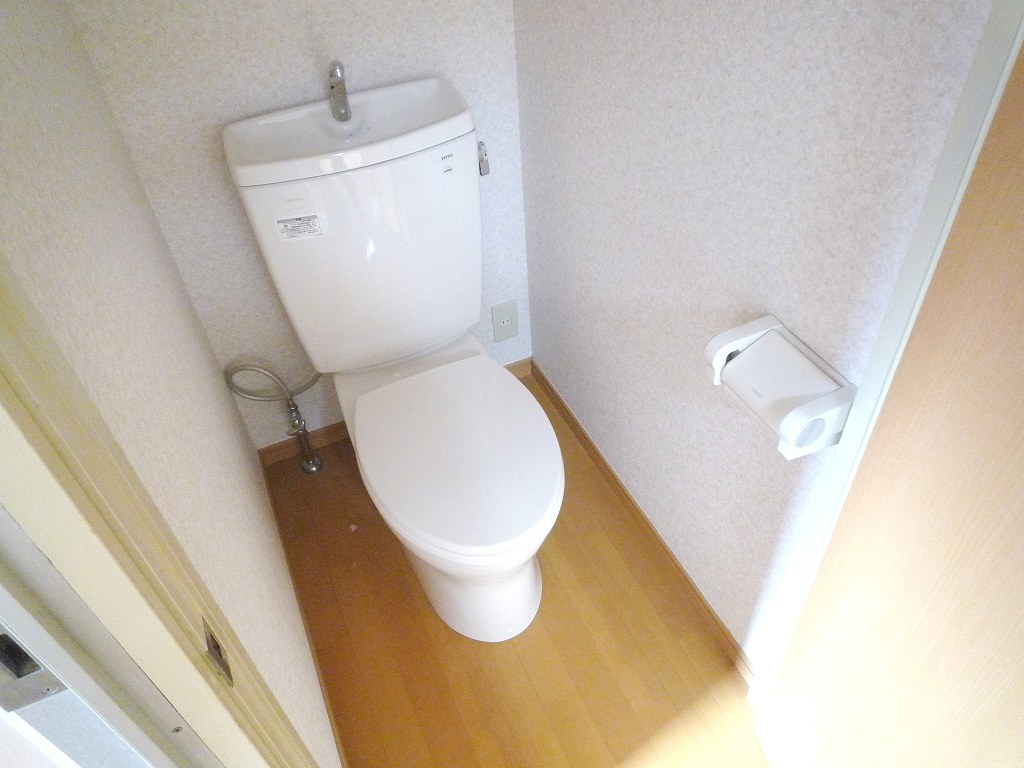 Toilet. Toilet