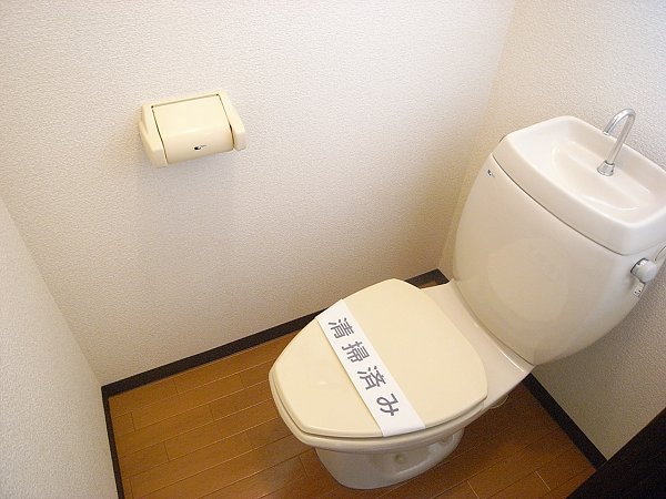 Other. Toilet