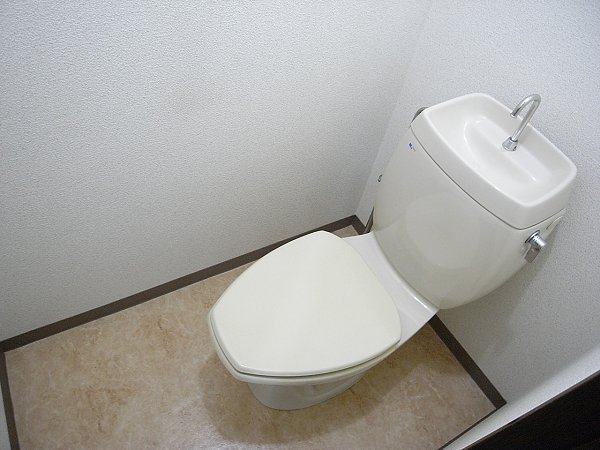 Other. Toilet