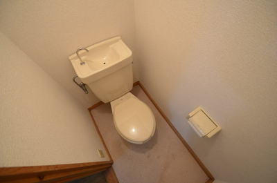 Toilet. Cleaning is a before photo of