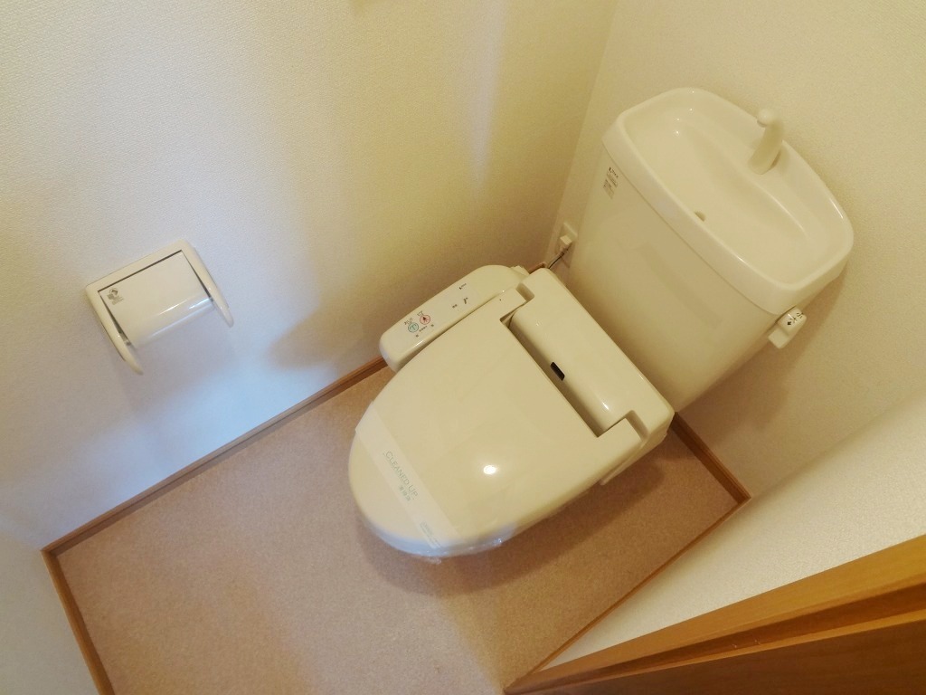 Toilet. Reference photograph