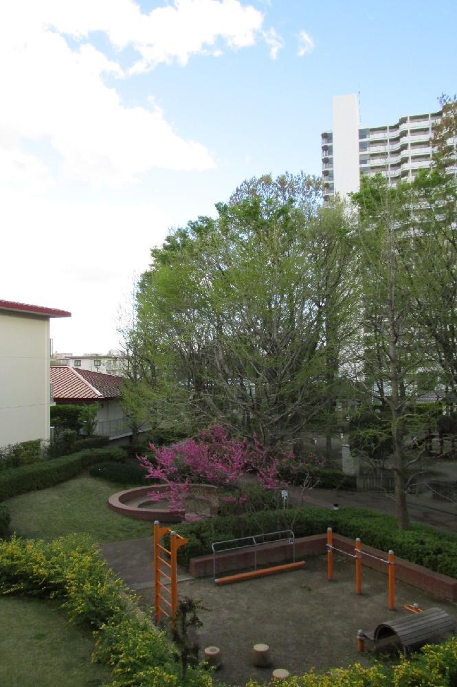 View photos from the dwelling unit. Shooting from the balcony (the spring of scenery)
