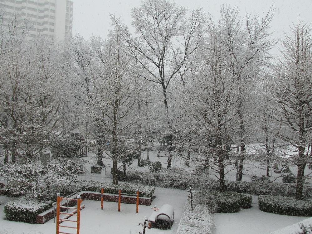 View photos from the dwelling unit. Shooting from the balcony (Winter scenery)