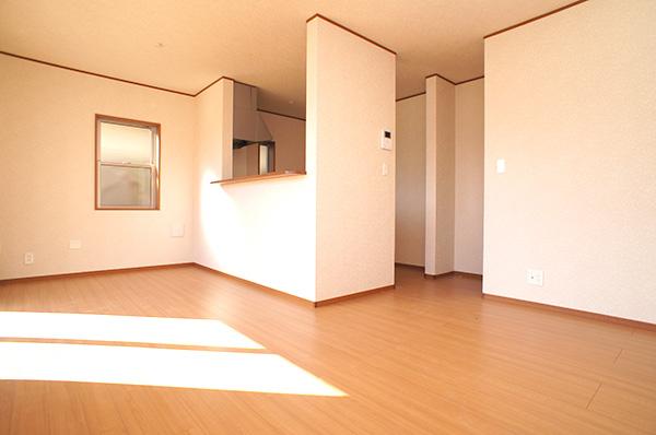 Living. Indoor (10 May 2013) Shooting