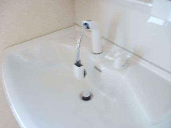 Wash basin, toilet. With wash shower