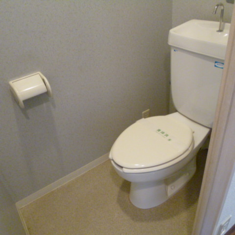 Toilet. Toilet