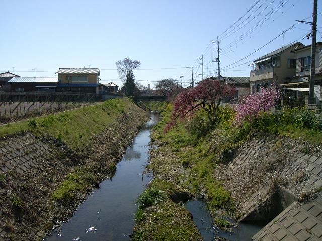 Other. Neighborhood is full of nature