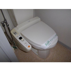 Toilet. Bidet